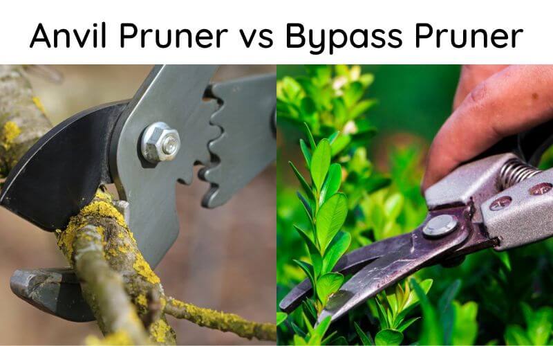 Differences Between Anvil and Bypass Pruners
